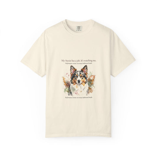 Australian Shepherd — My Aussie Has a Job