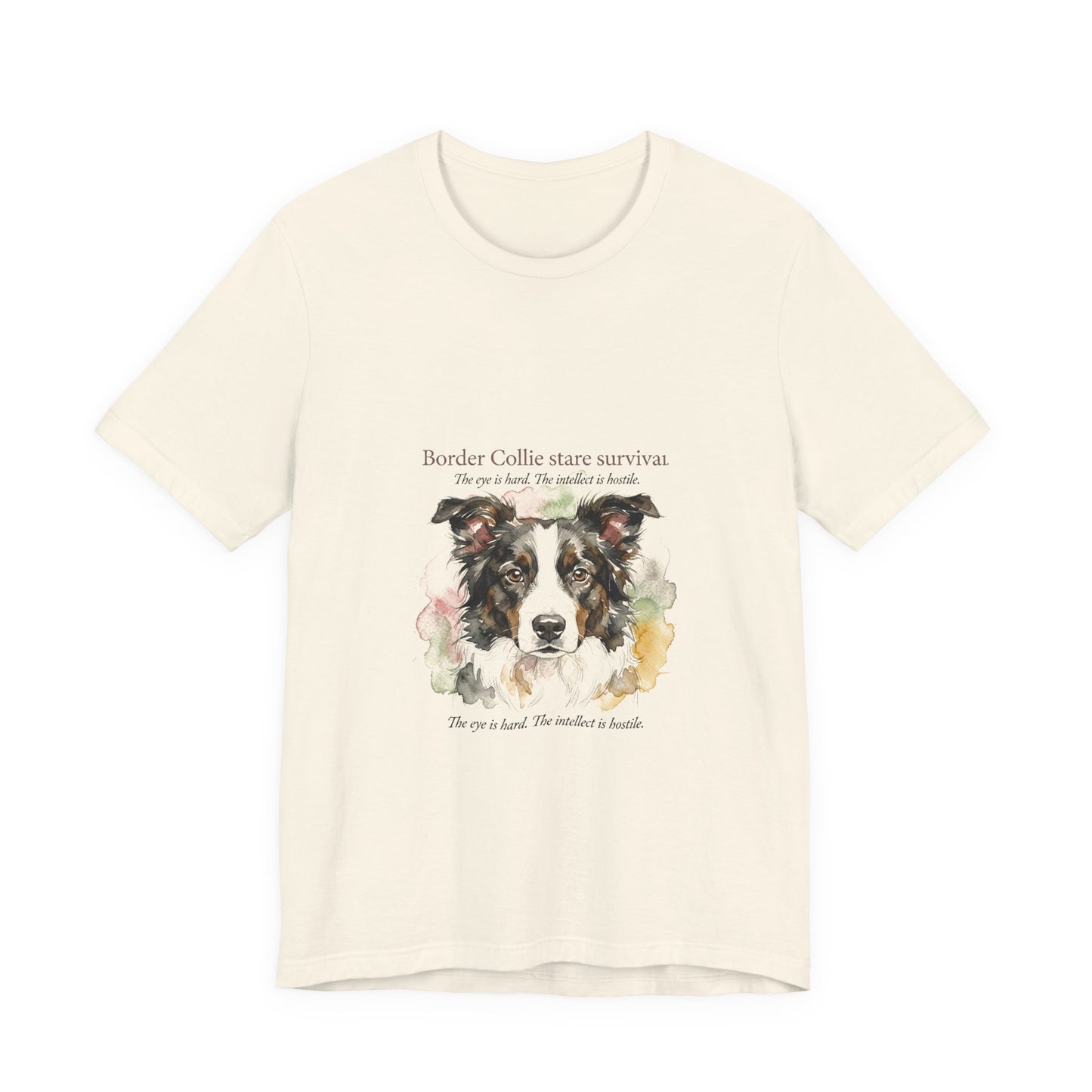 Border Collie — Border Collie Stare Survivor