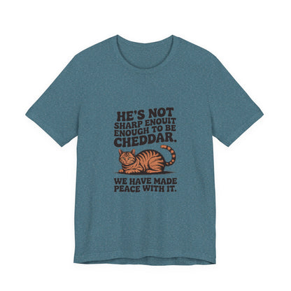 Orange Tabby — He's not sharp enough to be cheddar
