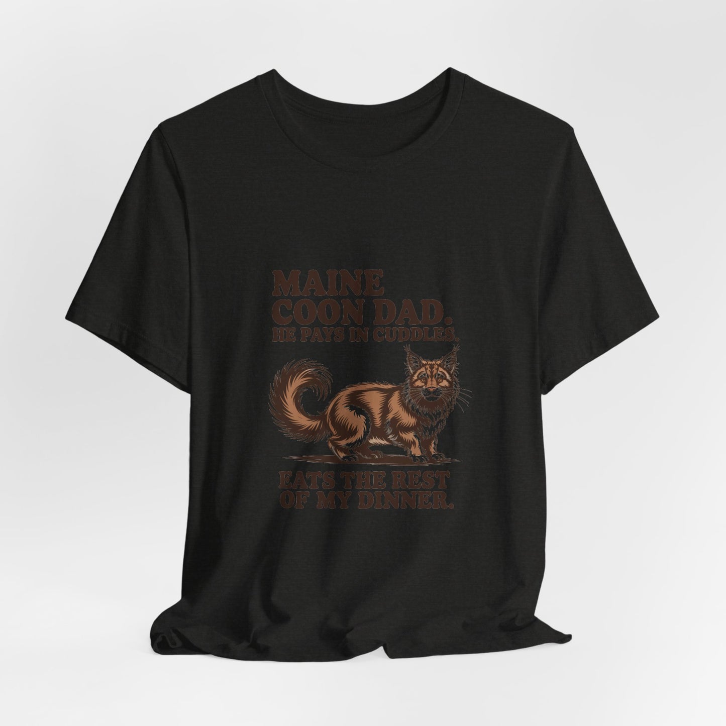 Maine Coon — Maine Coon Dad. He pays in cuddles