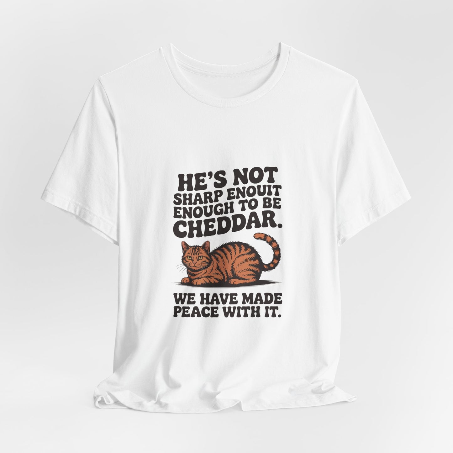 Orange Tabby — He's not sharp enough to be cheddar