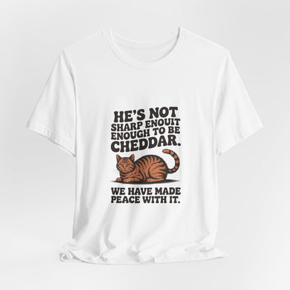 Orange Tabby — He's not sharp enough to be cheddar