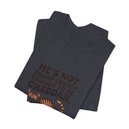 Orange Tabby — He's not sharp enough to be cheddar