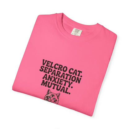 Ragdoll — Velcro cat. Separation anxiety. Mutual