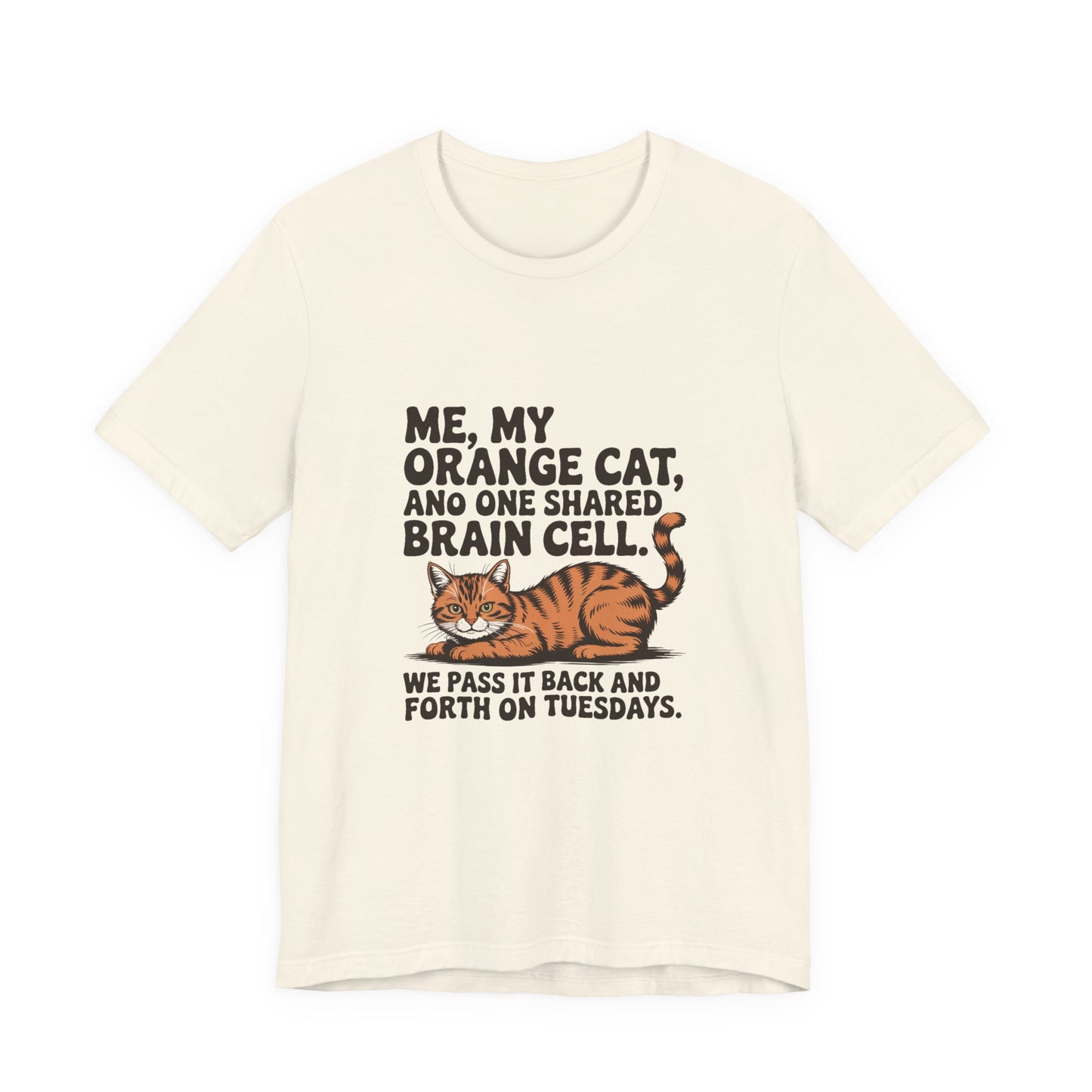 Orange Tabby — Me, my orange cat, and one shared brain cell