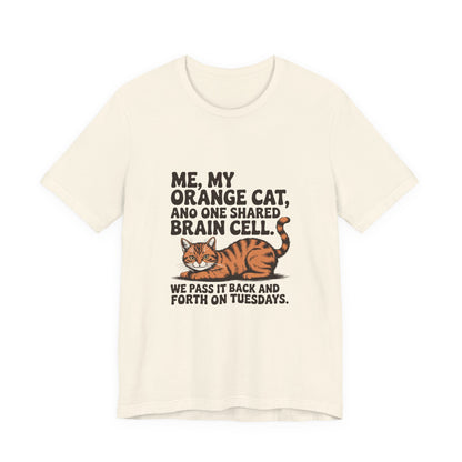 Orange Tabby — Me, my orange cat, and one shared brain cell