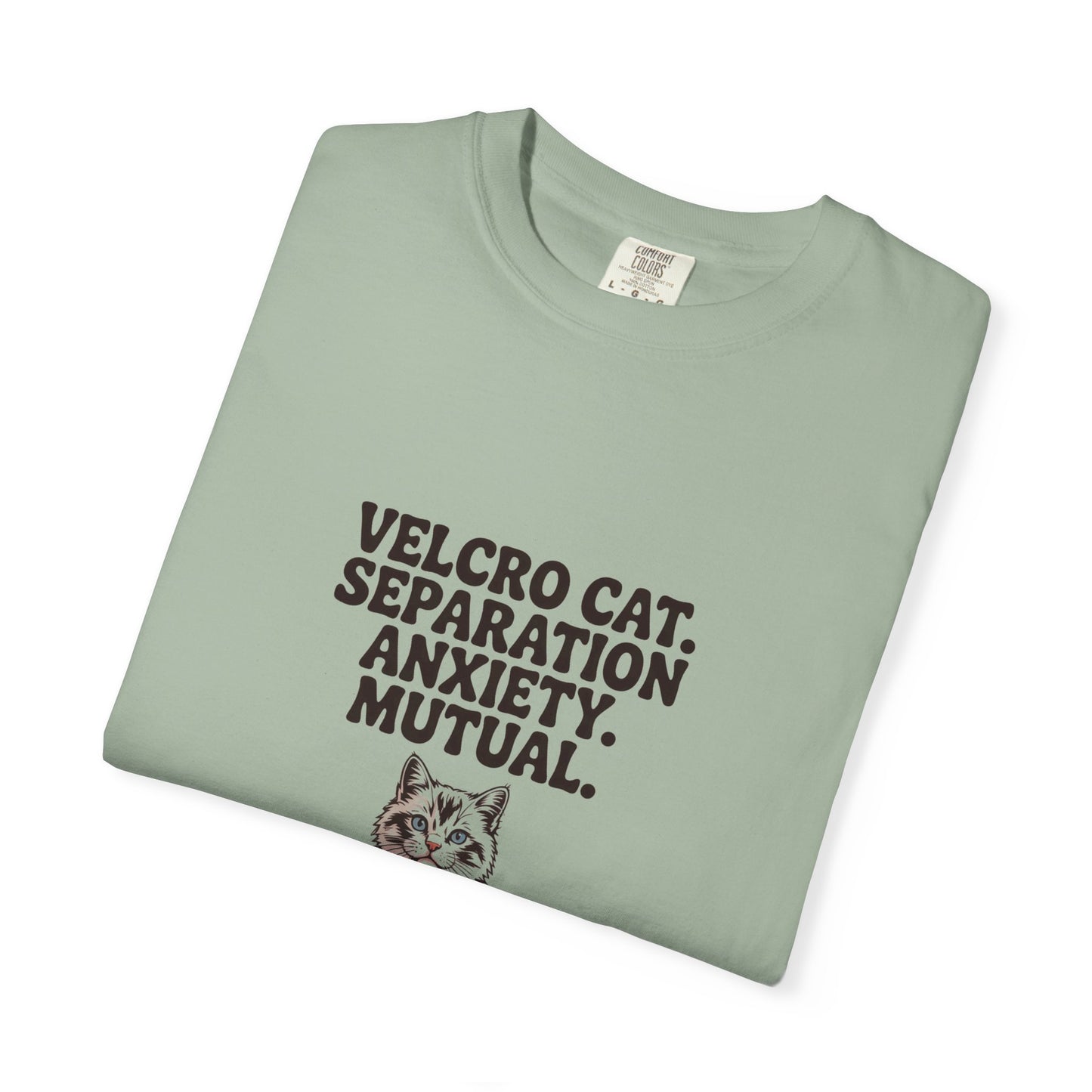 Ragdoll — Velcro cat. Separation anxiety. Mutual