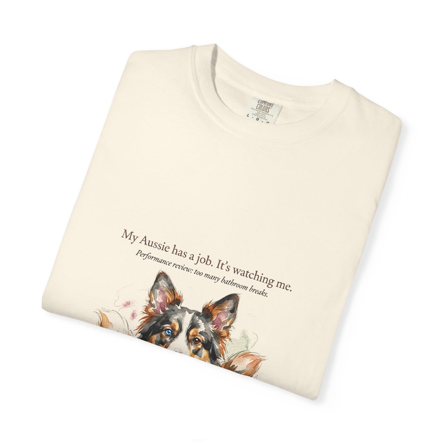 Australian Shepherd — My Aussie Has a Job