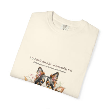 Australian Shepherd — My Aussie Has a Job