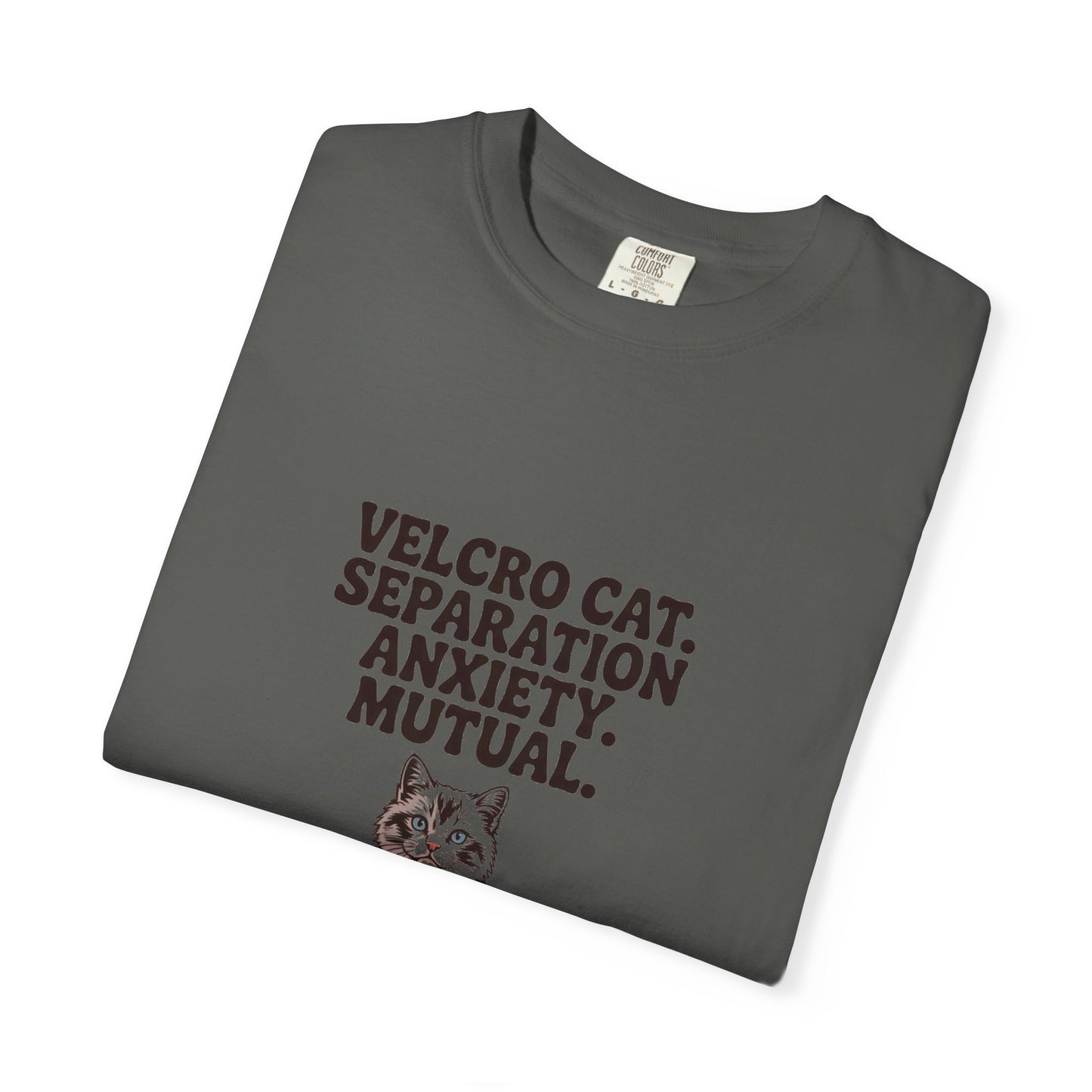 Ragdoll — Velcro cat. Separation anxiety. Mutual