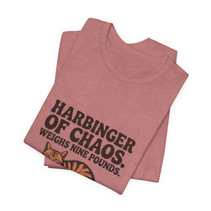 Orange Tabby — Harbinger of chaos. Weighs nine pounds