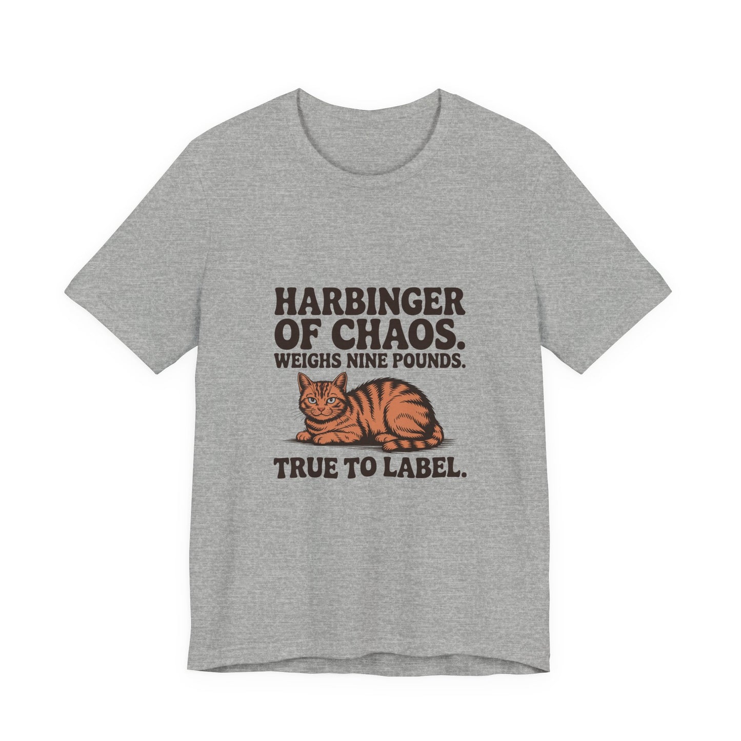 Orange Tabby — Harbinger of chaos. Weighs nine pounds