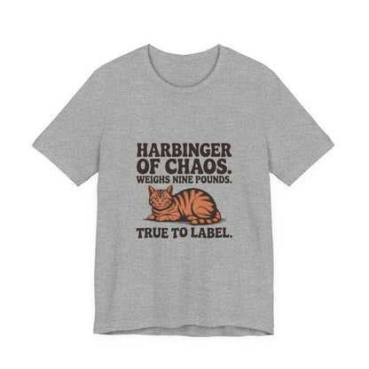 Orange Tabby — Harbinger of chaos. Weighs nine pounds