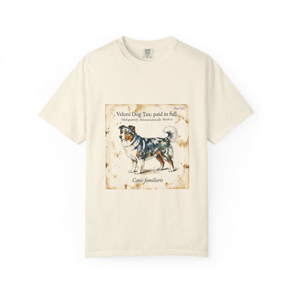 Australian Shepherd — Velcro Dog Tax — Paid in Full