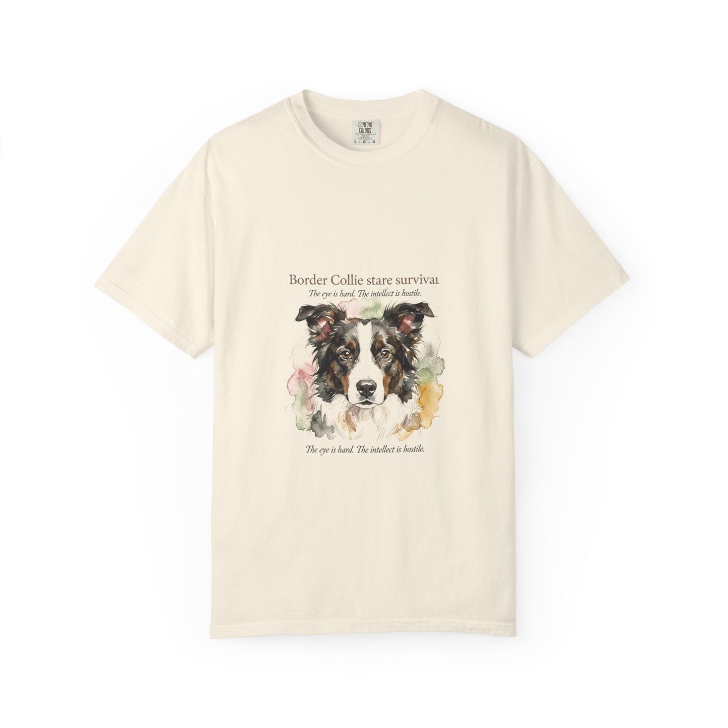 Border Collie — Border Collie Stare Survivor