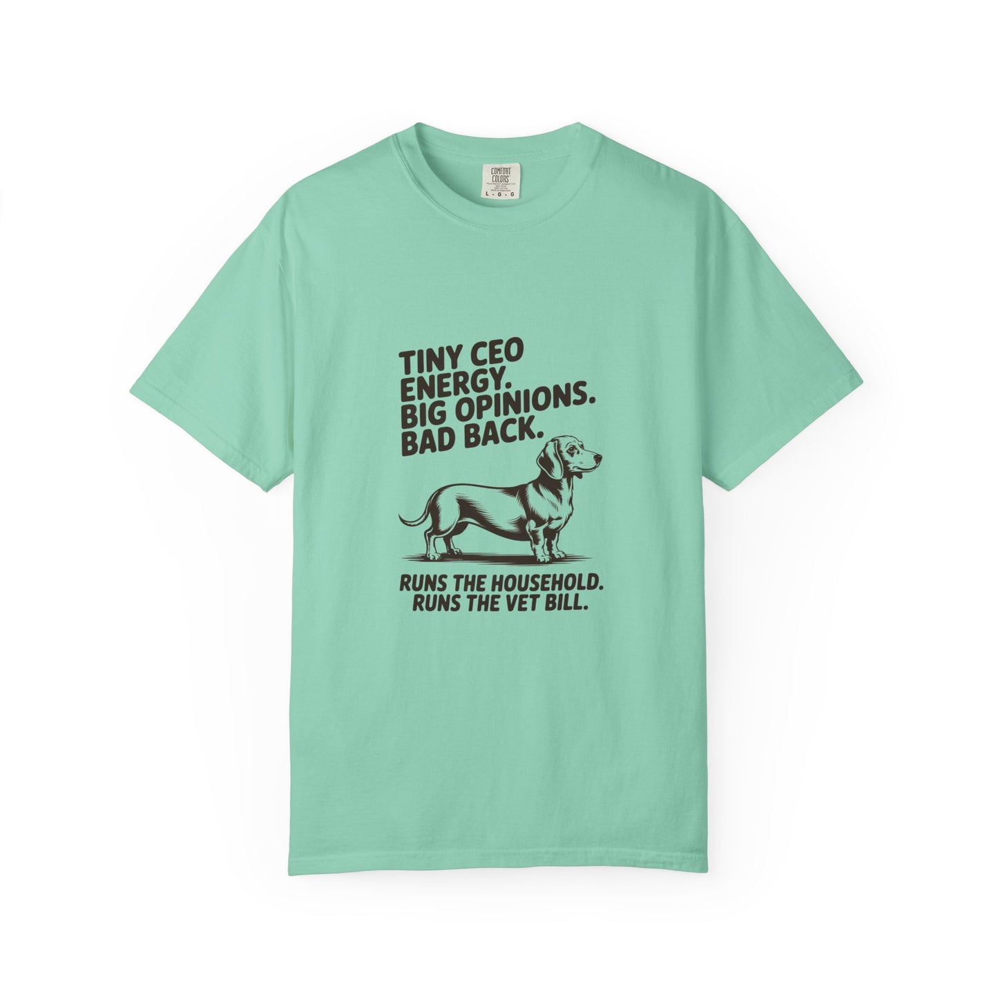 Dachshund — Tiny CEO energy. Big opinions. Bad back