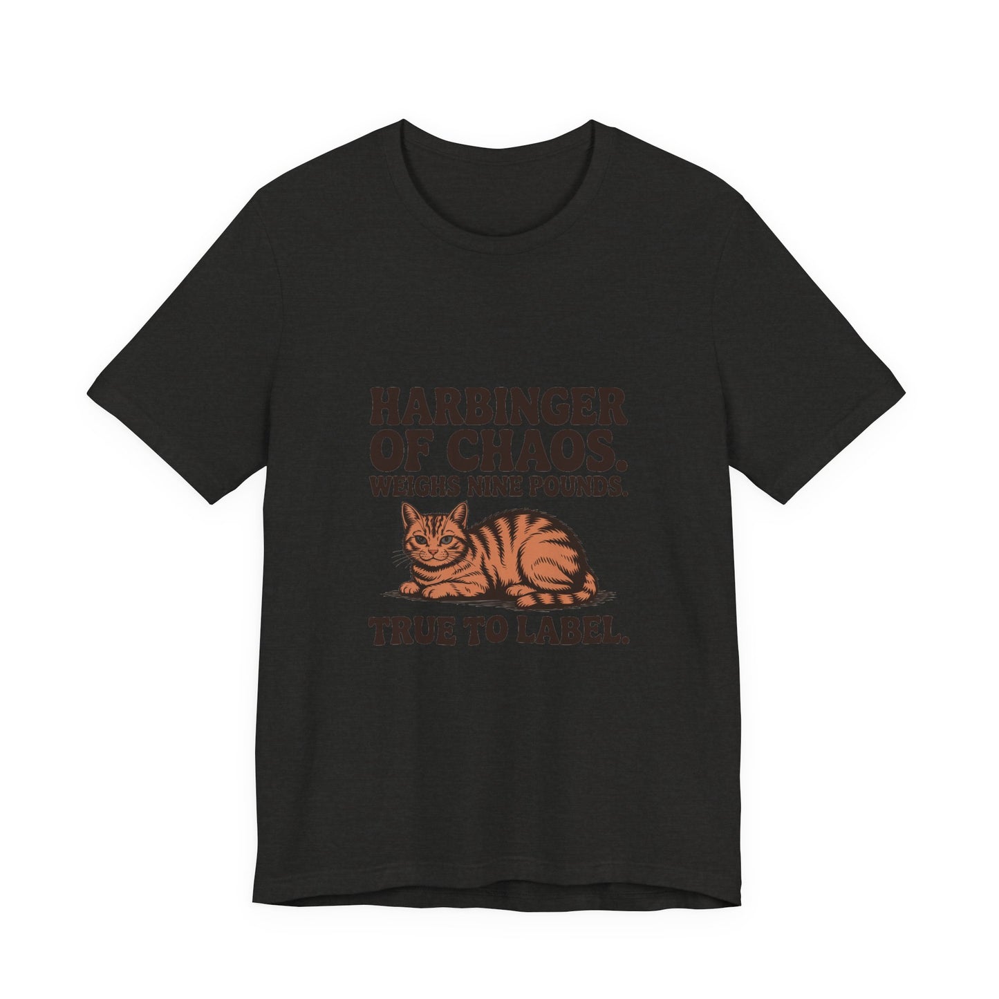 Orange Tabby — Harbinger of chaos. Weighs nine pounds
