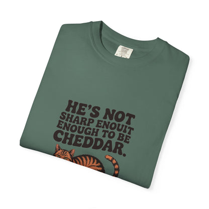 Orange Tabby — He's not sharp enough to be cheddar