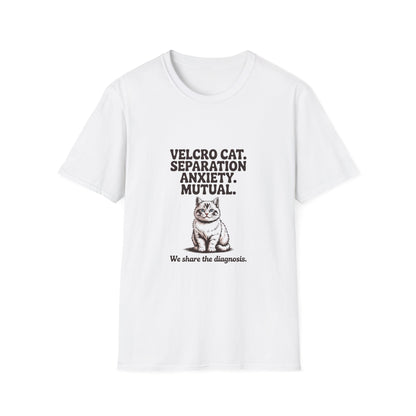 Ragdoll — Velcro cat. Separation anxiety. Mutual