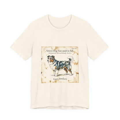 Australian Shepherd — Velcro Dog Tax — Paid in Full