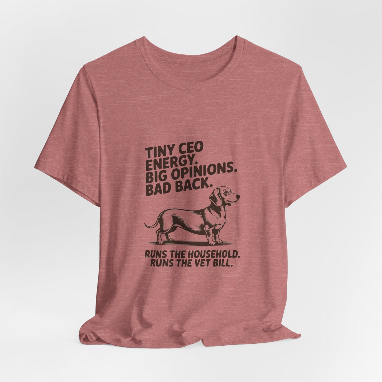 Dachshund — Tiny CEO energy. Big opinions. Bad back