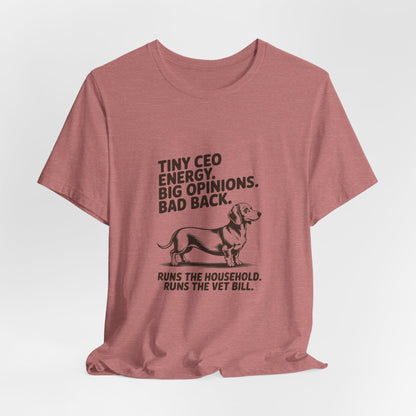 Dachshund — Tiny CEO energy. Big opinions. Bad back