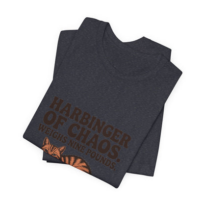 Orange Tabby — Harbinger of chaos. Weighs nine pounds