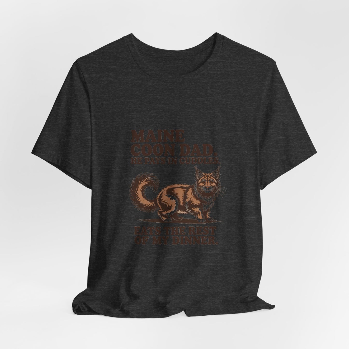 Maine Coon — Maine Coon Dad. He pays in cuddles