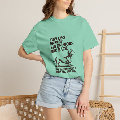 Dachshund — Tiny CEO energy. Big opinions. Bad back