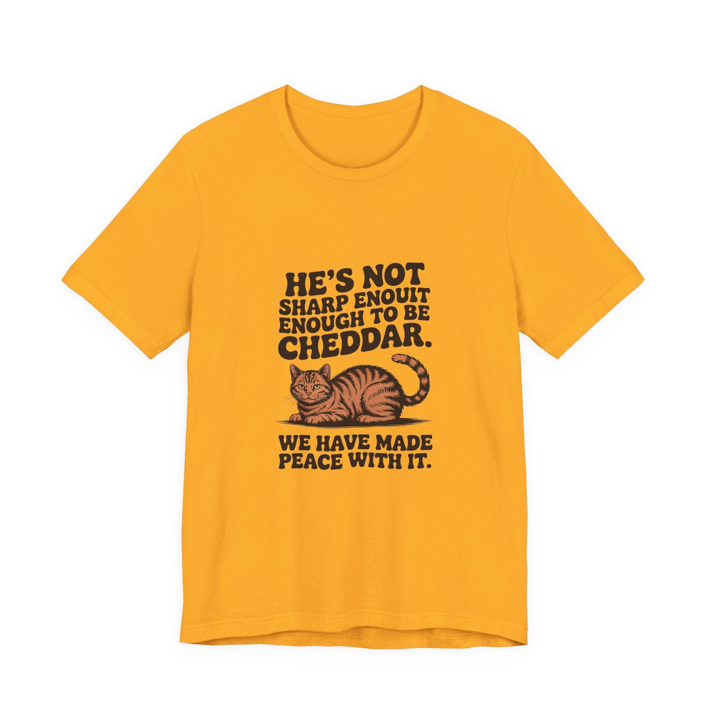 Orange Tabby — He's not sharp enough to be cheddar