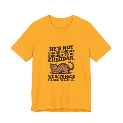 Orange Tabby — He's not sharp enough to be cheddar