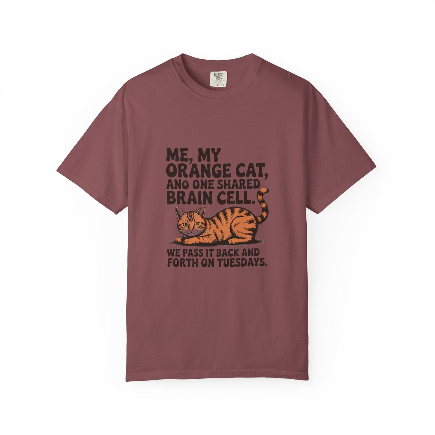 Orange Tabby — Me, my orange cat, and one shared brain cell