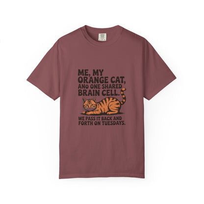 Orange Tabby — Me, my orange cat, and one shared brain cell