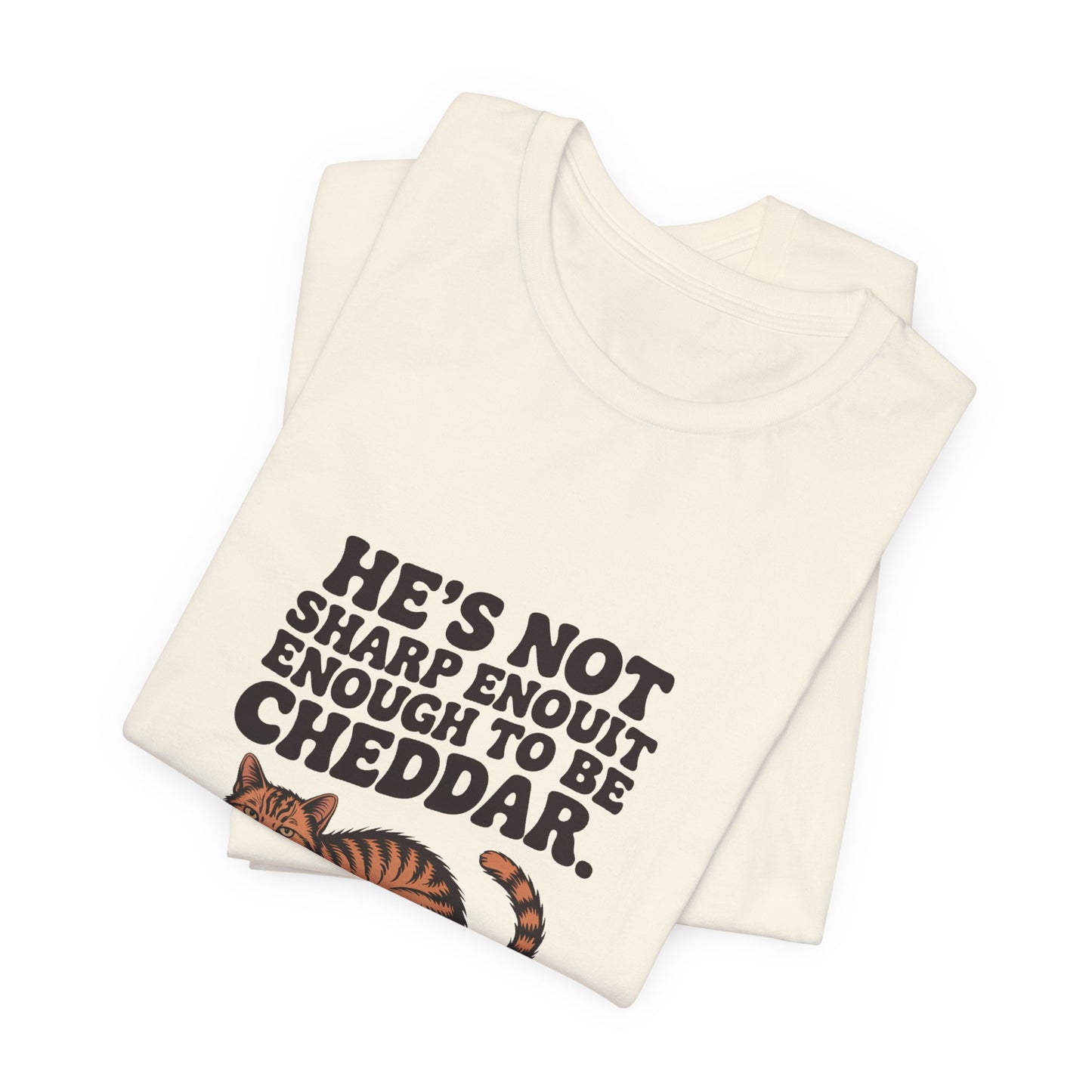 Orange Tabby — He's not sharp enough to be cheddar