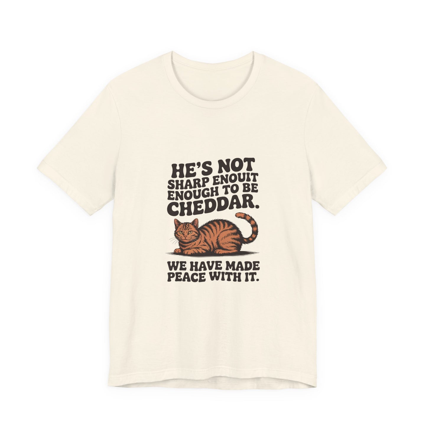 Orange Tabby — He's not sharp enough to be cheddar