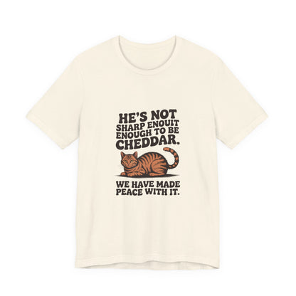 Orange Tabby — He's not sharp enough to be cheddar