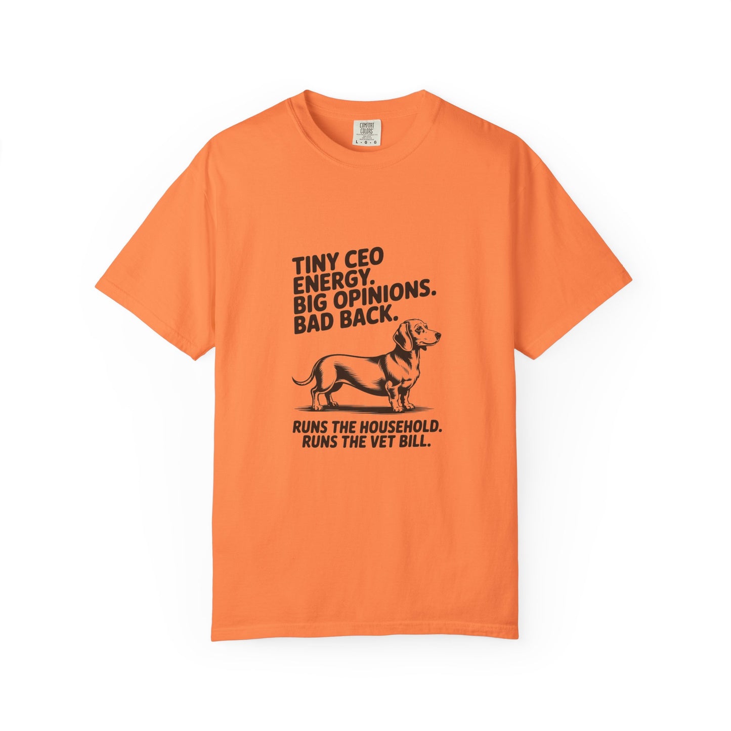 Dachshund — Tiny CEO energy. Big opinions. Bad back