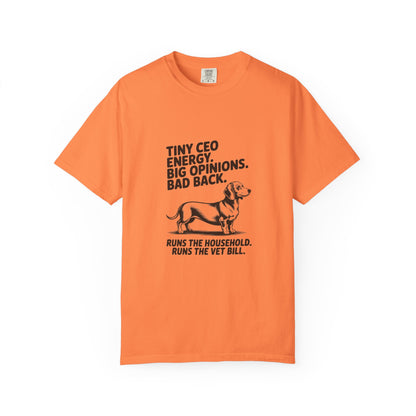Dachshund — Tiny CEO energy. Big opinions. Bad back