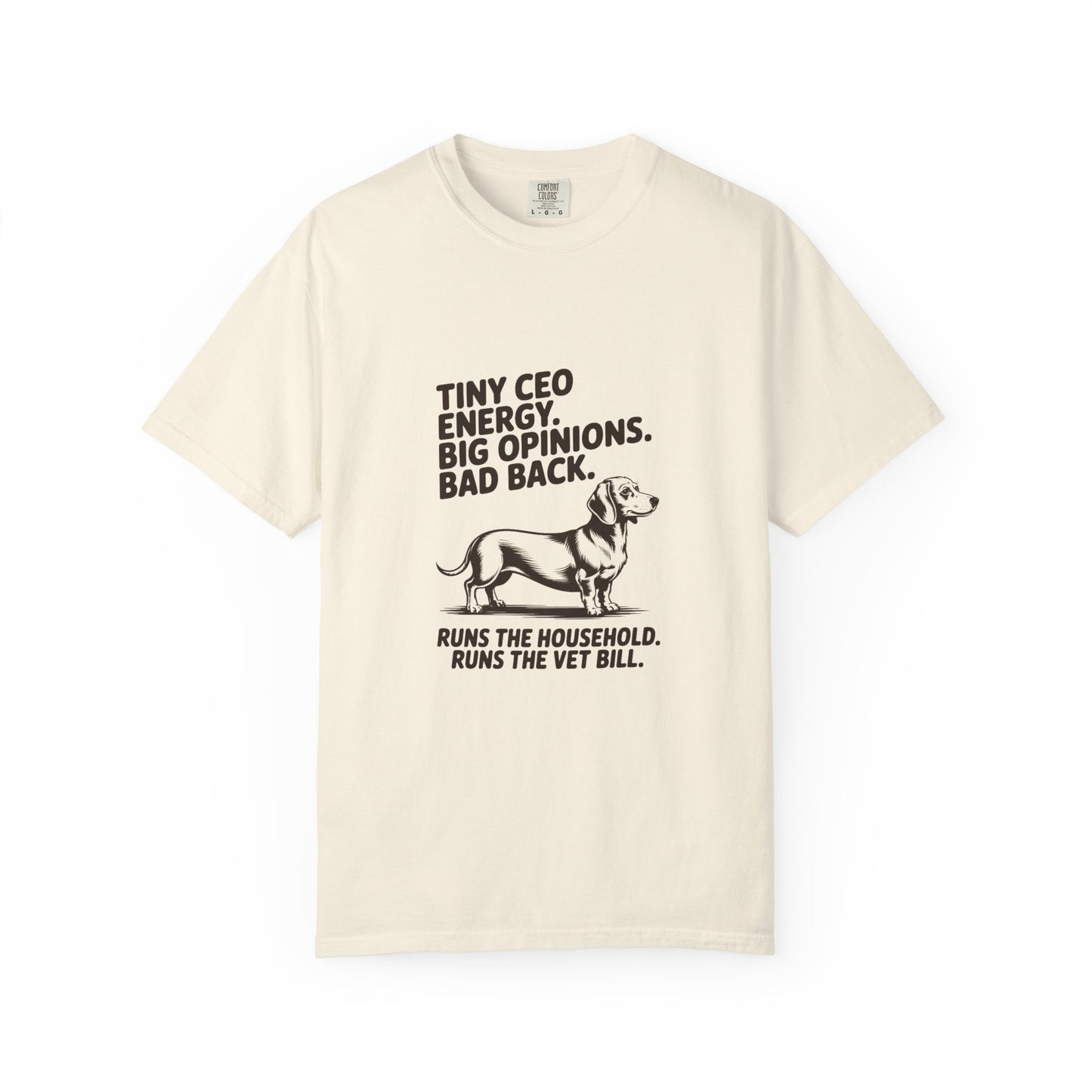 Dachshund — Tiny CEO energy. Big opinions. Bad back