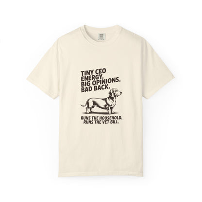 Dachshund — Tiny CEO energy. Big opinions. Bad back