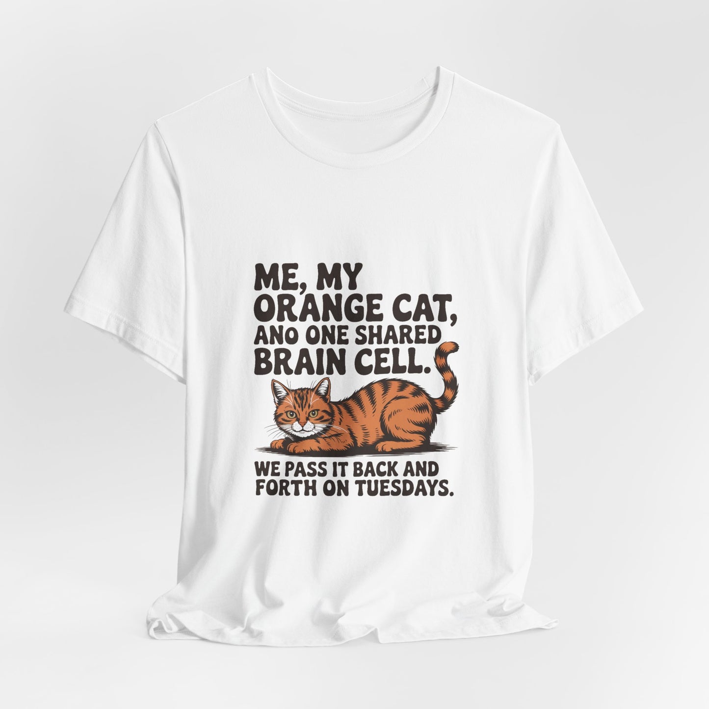 Orange Tabby — Me, my orange cat, and one shared brain cell