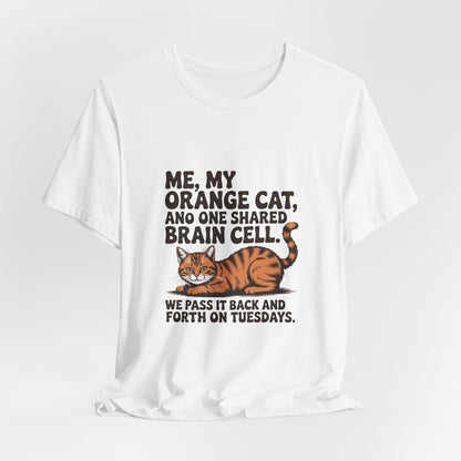 Orange Tabby — Me, my orange cat, and one shared brain cell