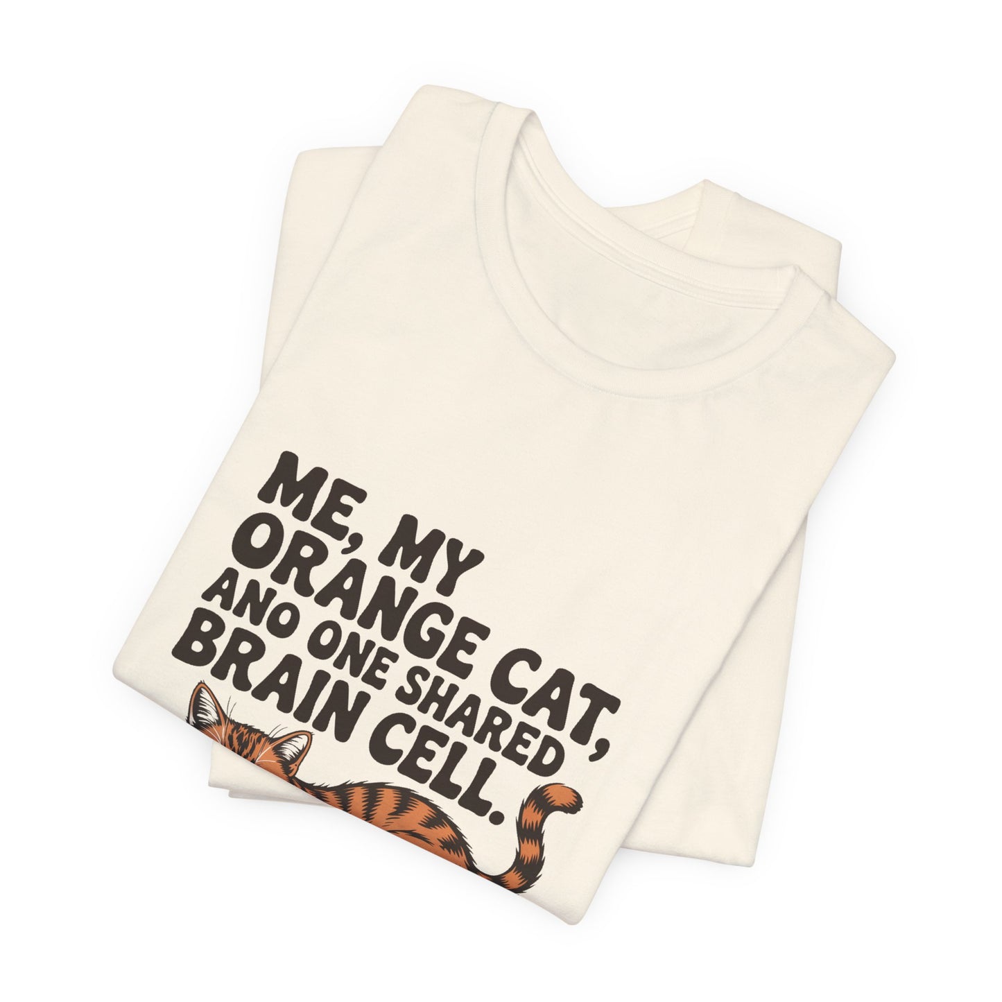 Orange Tabby — Me, my orange cat, and one shared brain cell