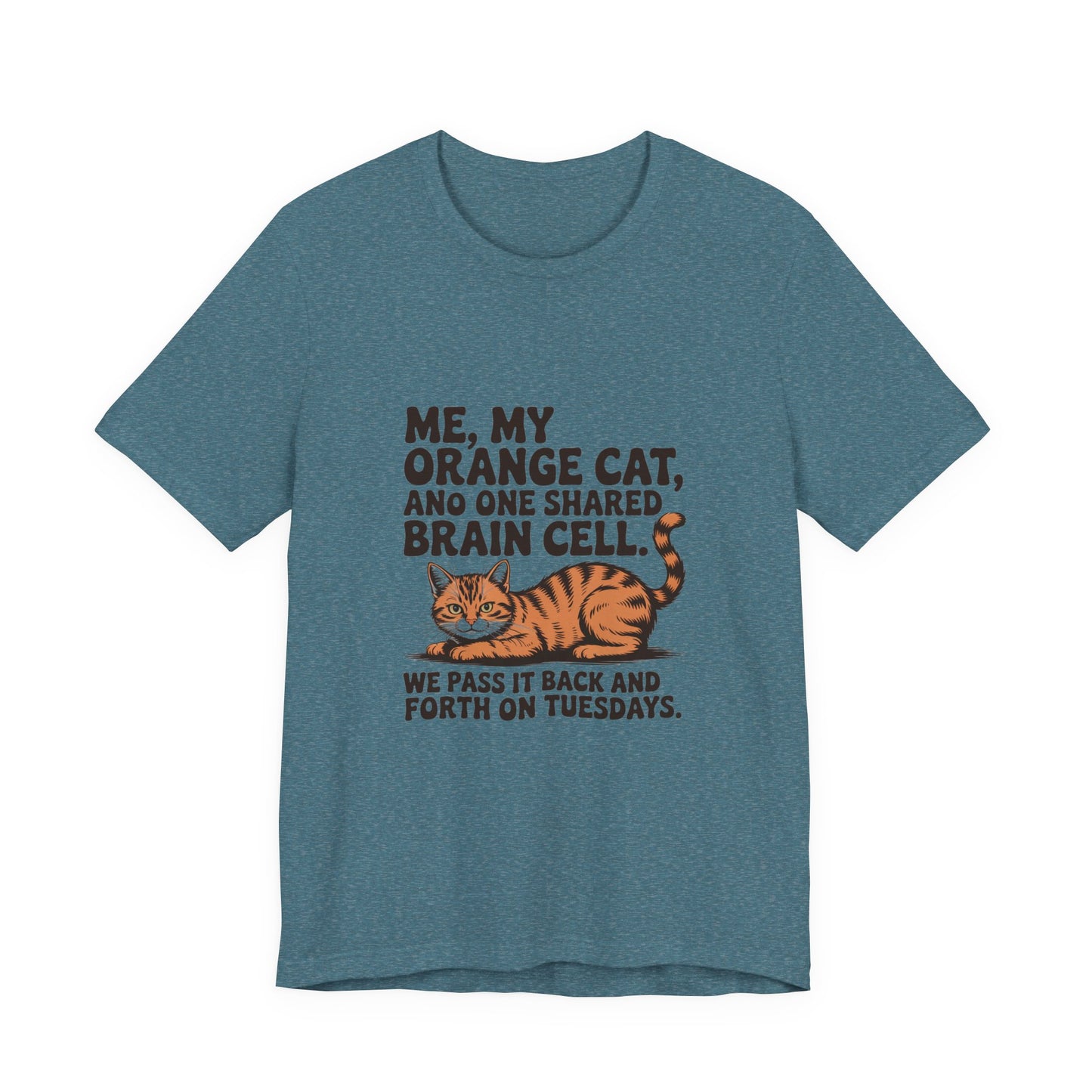Orange Tabby — Me, my orange cat, and one shared brain cell