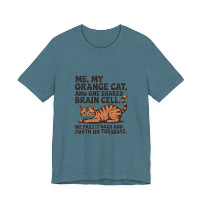 Orange Tabby — Me, my orange cat, and one shared brain cell
