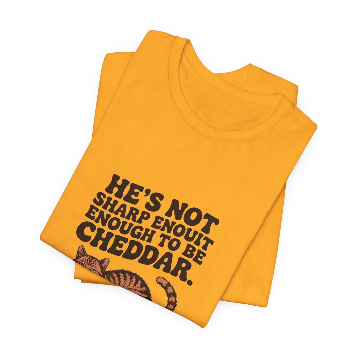 Orange Tabby — He's not sharp enough to be cheddar