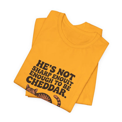 Orange Tabby — He's not sharp enough to be cheddar