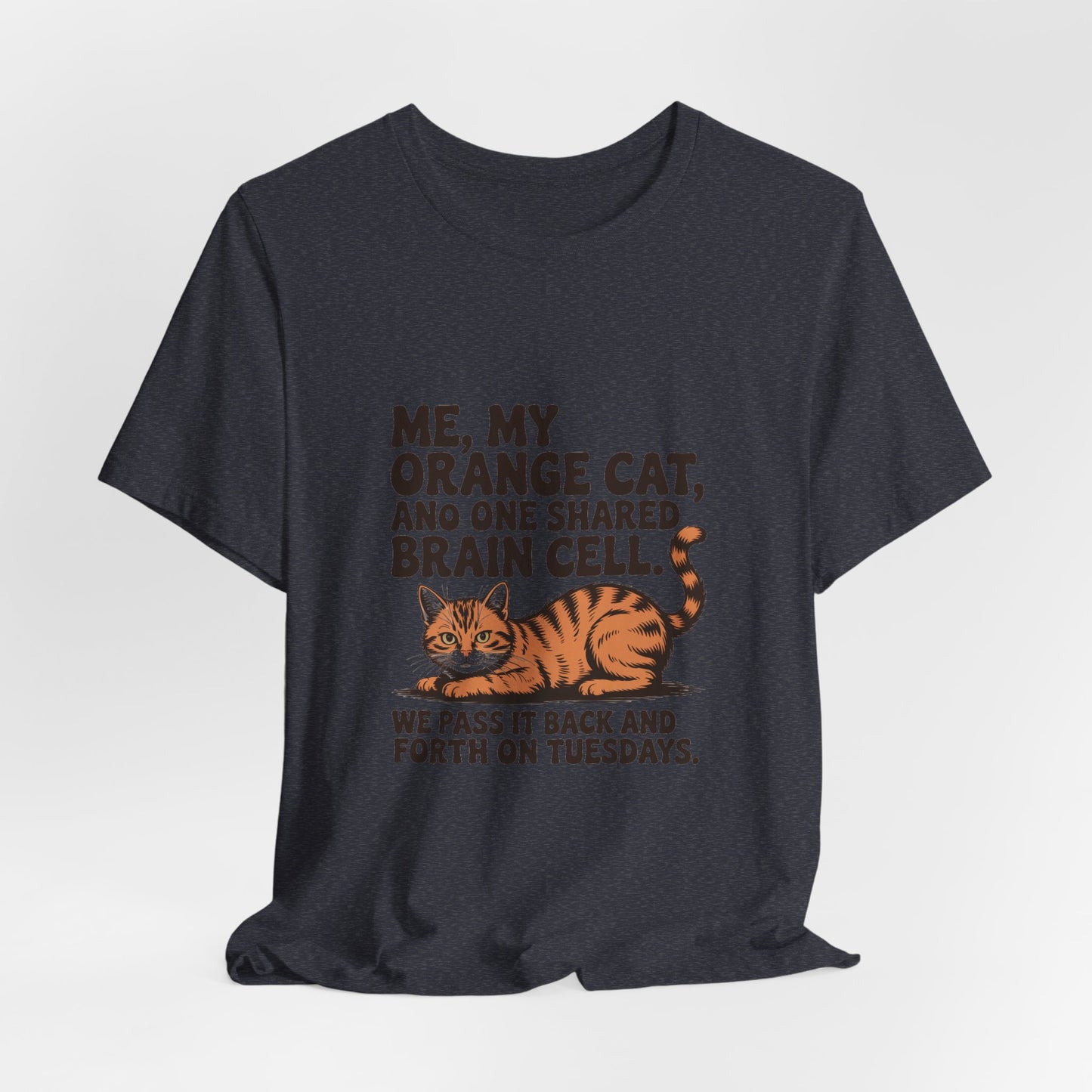 Orange Tabby — Me, my orange cat, and one shared brain cell