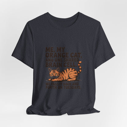 Orange Tabby — Me, my orange cat, and one shared brain cell