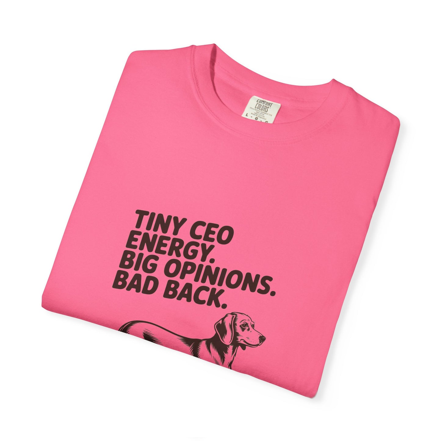 Dachshund — Tiny CEO energy. Big opinions. Bad back